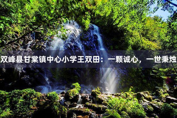 双峰县甘棠镇中心小学王双田：一颗诚心，一世秉烛