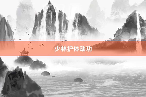 少林护体动功