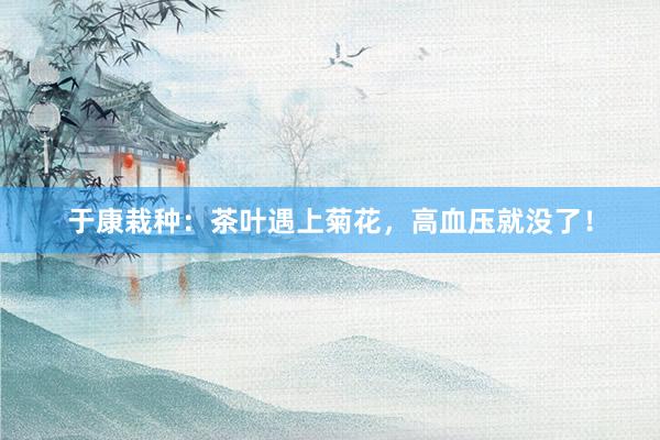 于康栽种：茶叶遇上菊花，高血压就没了！