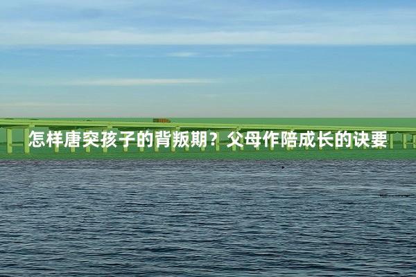 怎样唐突孩子的背叛期？父母作陪成长的诀要