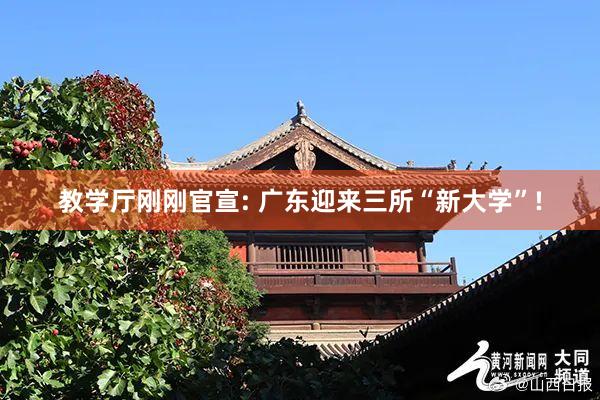 教学厅刚刚官宣: 广东迎来三所“新大学”!