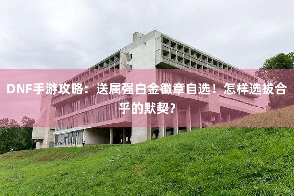 DNF手游攻略：送属强白金徽章自选！怎样选拔合乎的默契？