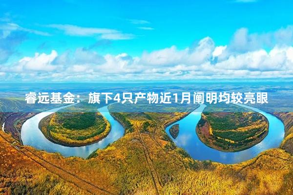 睿远基金：旗下4只产物近1月阐明均较亮眼