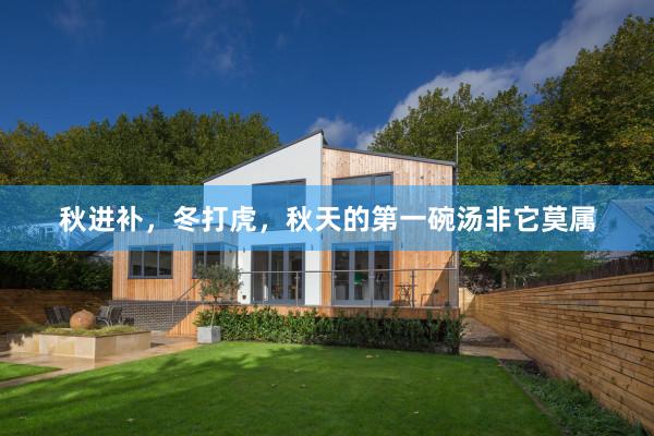 秋进补，冬打虎，秋天的第一碗汤非它莫属