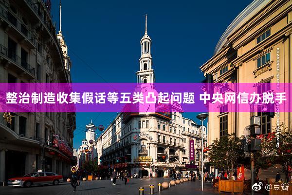 整治制造收集假话等五类凸起问题 中央网信办脱手