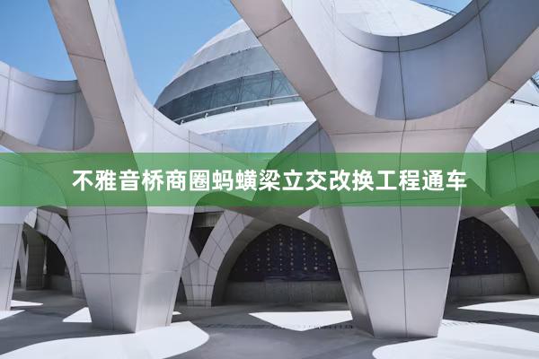 不雅音桥商圈蚂蟥梁立交改换工程通车