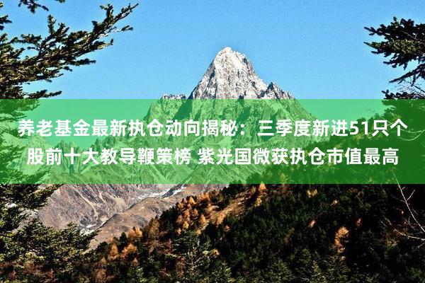 养老基金最新执仓动向揭秘：三季度新进51只个股前十大教导鞭策榜 紫光国微获执仓市值最高