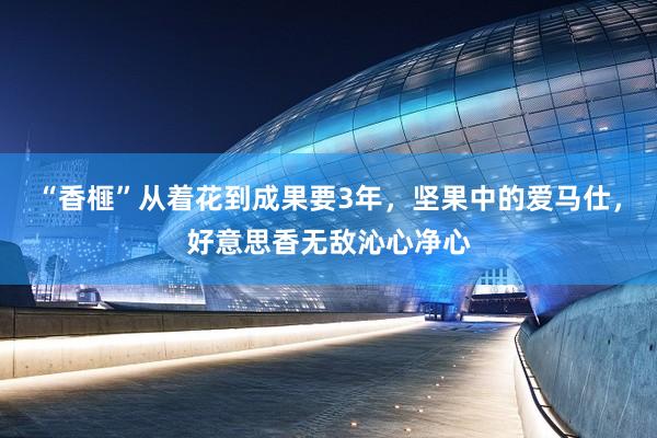 “香榧”从着花到成果要3年，坚果中的爱马仕，好意思香无敌沁心净心