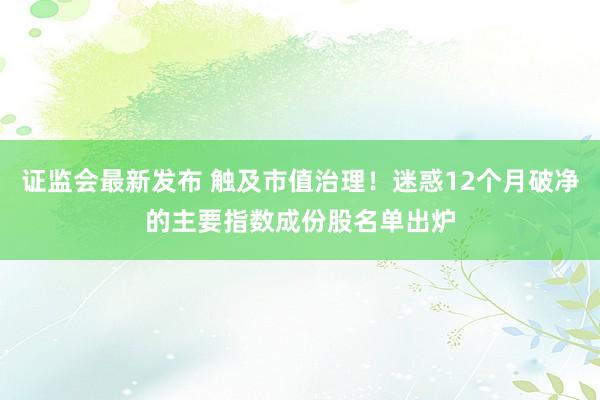 证监会最新发布 触及市值治理！迷惑12个月破净的主要指数成份股名单出炉