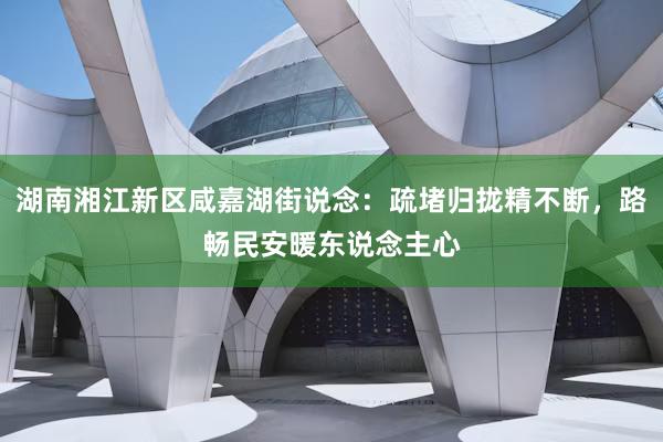 湖南湘江新区咸嘉湖街说念：疏堵归拢精不断，路畅民安暖东说念主心