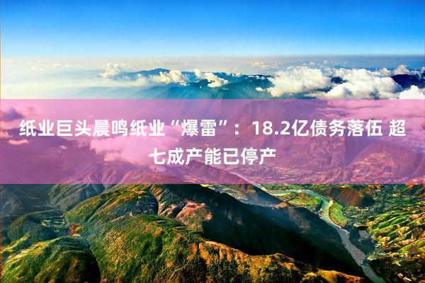 纸业巨头晨鸣纸业“爆雷”：18.2亿债务落伍 超七成产能已停产