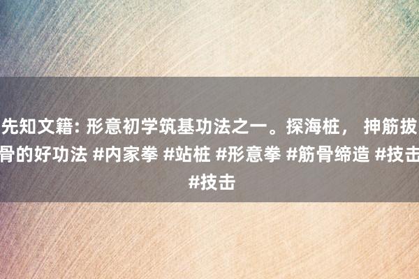 先知文籍: 形意初学筑基功法之一。探海桩， 抻筋拔骨的好功法 #内家拳 #站桩 #形意拳 #筋骨缔造 #技击