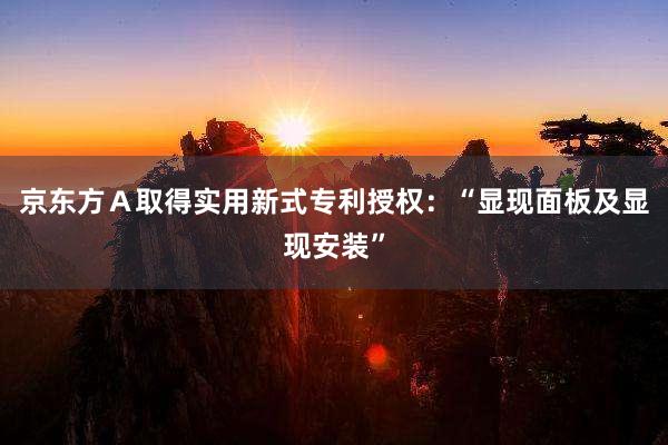 京东方Ａ取得实用新式专利授权：“显现面板及显现安装”